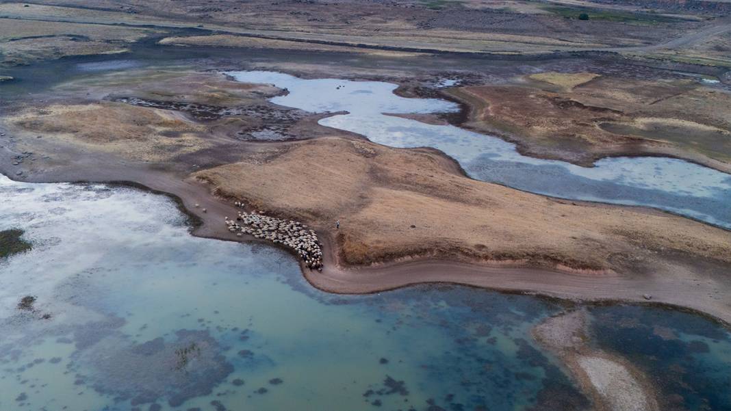 Dicle Nehri'nde kuraklığın etkisi görüntülendi 4