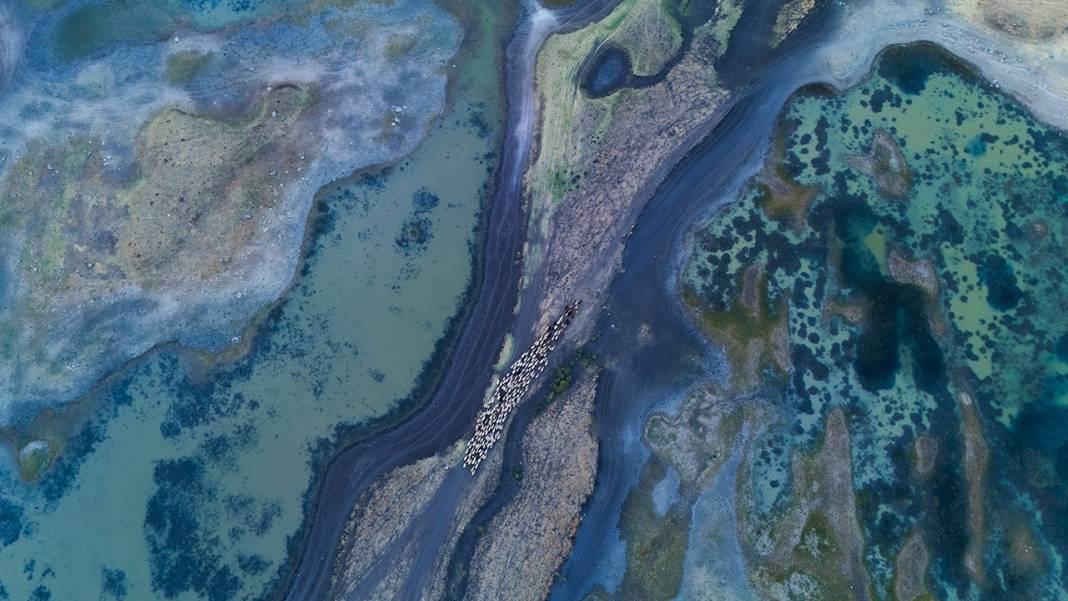 Dicle Nehri'nde kuraklığın etkisi görüntülendi 7