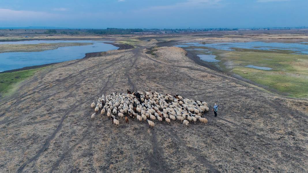 Dicle Nehri'nde kuraklığın etkisi görüntülendi 3