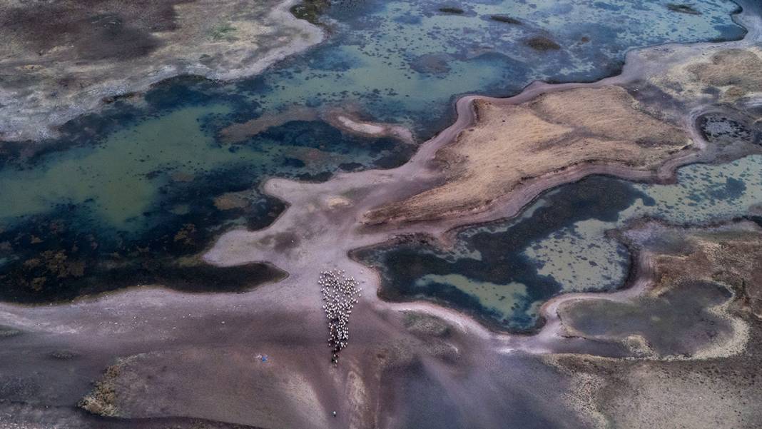 Dicle Nehri'nde kuraklığın etkisi görüntülendi 5