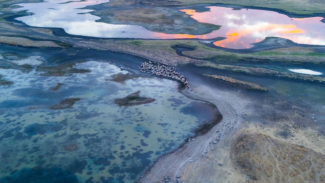 Dicle Nehri'nde kuraklığın etkisi görüntülendi 1