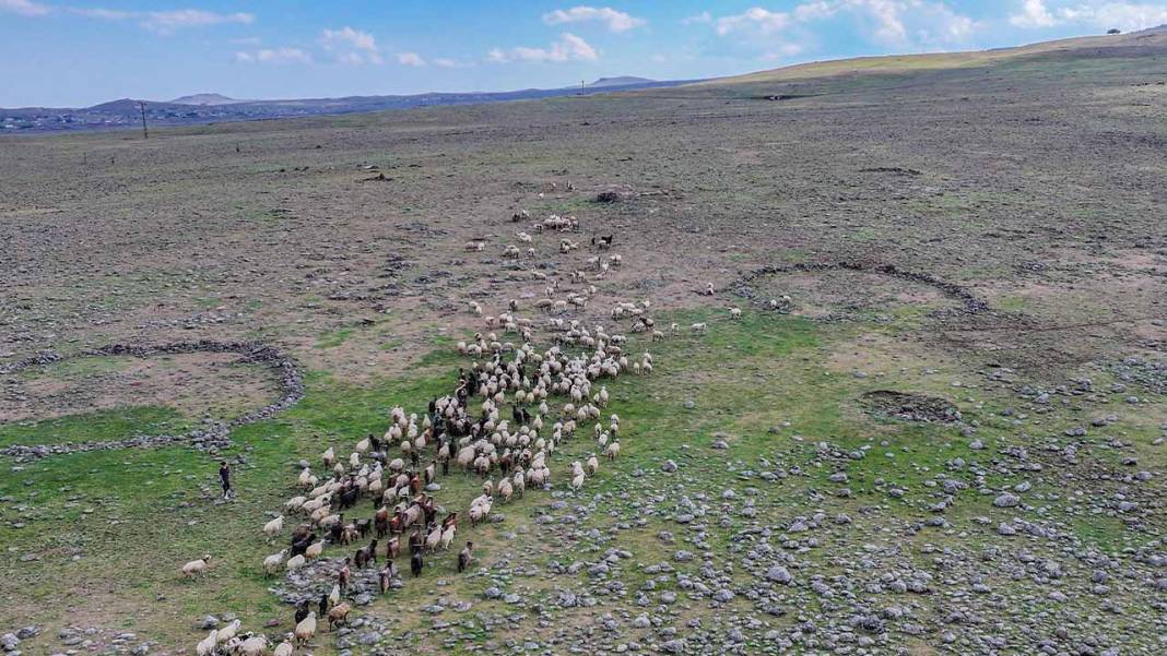 Diyarbakır’daki çoban yaşadığı yerin fotoğrafçısı oldu 8