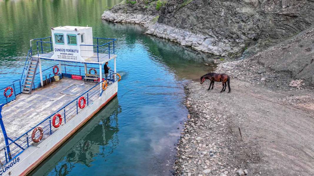 Diyarbakır’da ‘Hespê Rewan’lar yüzerek yarışa hazırlanıyor 1