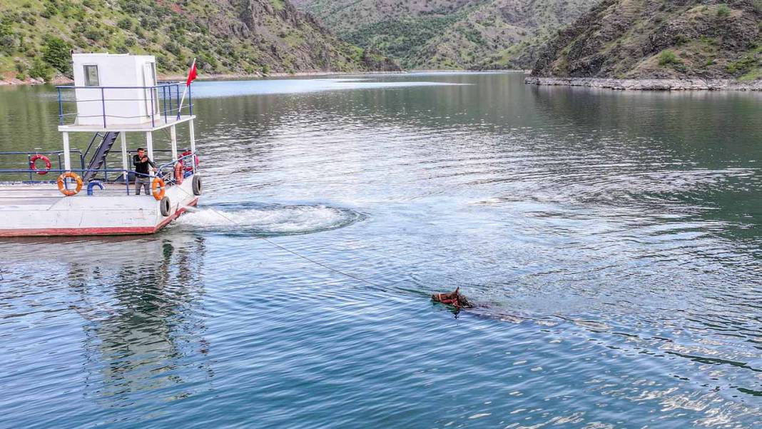 Diyarbakır’da ‘Hespê Rewan’lar yüzerek yarışa hazırlanıyor 7