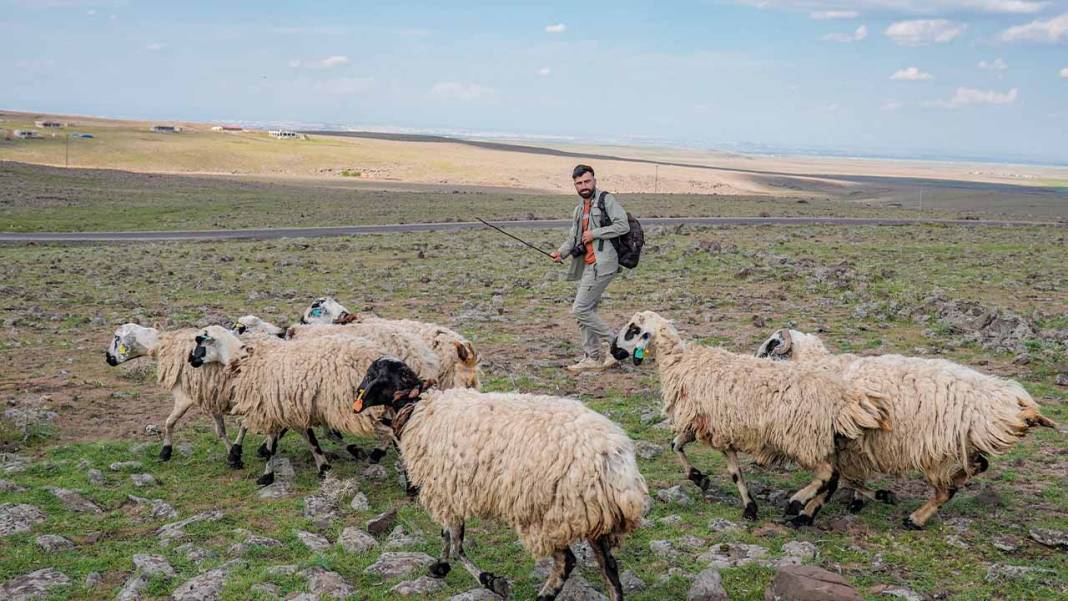 Diyarbakır’daki çoban yaşadığı yerin fotoğrafçısı oldu 6