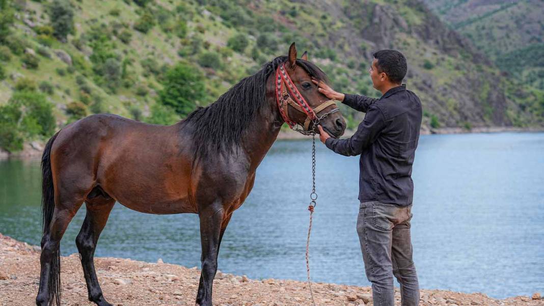 Diyarbakır’da ‘Hespê Rewan’lar yüzerek yarışa hazırlanıyor 8