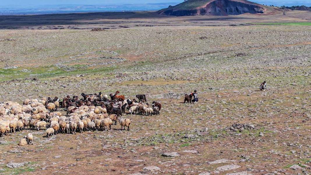 Diyarbakır’daki çoban yaşadığı yerin fotoğrafçısı oldu 5