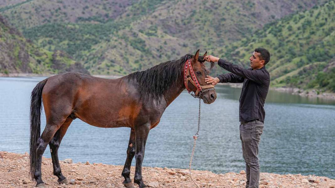 Diyarbakır’da ‘Hespê Rewan’lar yüzerek yarışa hazırlanıyor 6