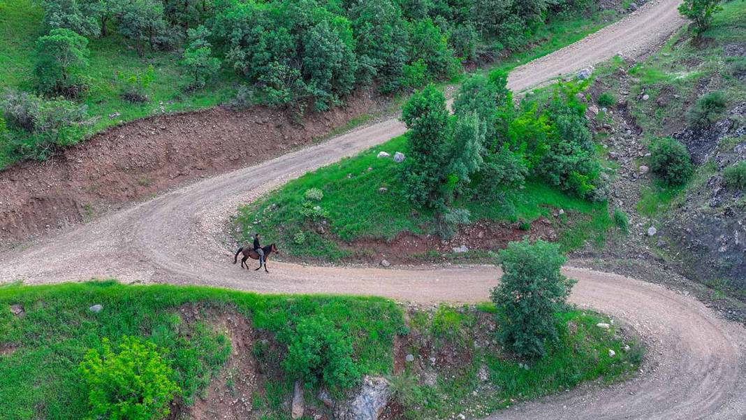 Diyarbakır’da ‘Hespê Rewan’lar yüzerek yarışa hazırlanıyor 5
