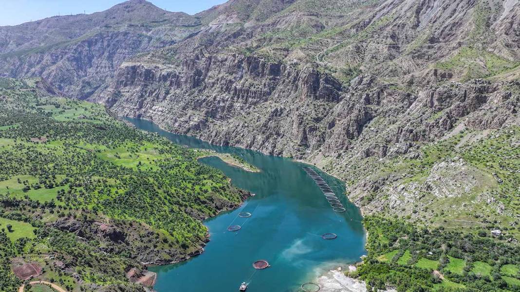 Diyarbakır Norveç’e rakip oldu: 53 ülkeye ihraç edilecek 2