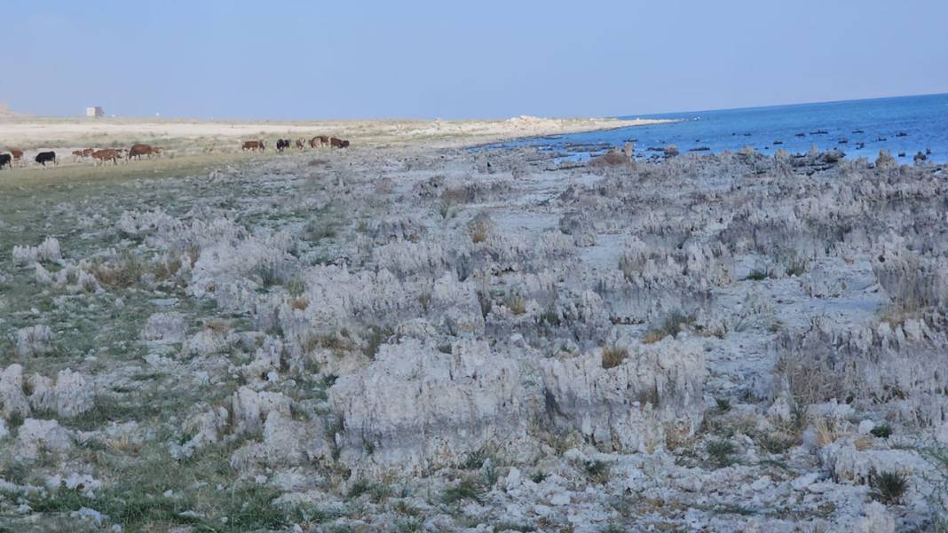 Bölgenin nefesi kesilecek: Van Gölü kuruyor 5