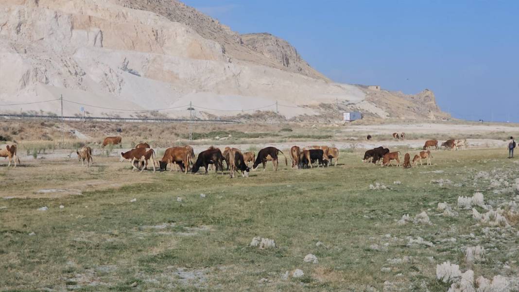 Bölgenin nefesi kesilecek: Van Gölü kuruyor 6