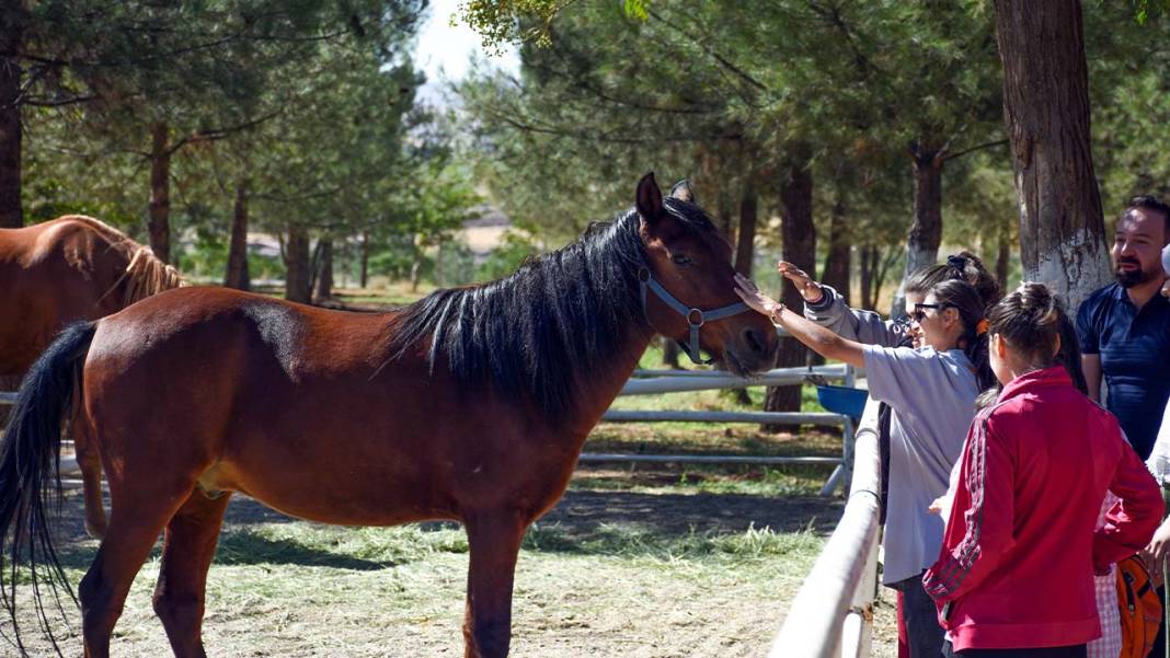 Diyarbakır’da özel çocuklara her Çarşamba atla terapi desteği 4