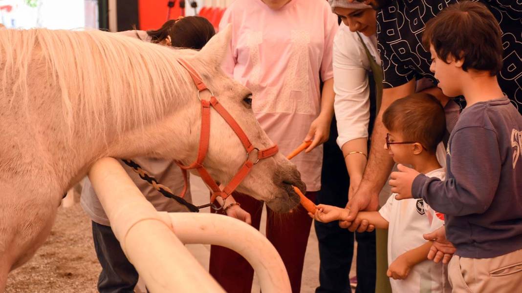 Diyarbakır’da özel çocuklara her Çarşamba atla terapi desteği 6