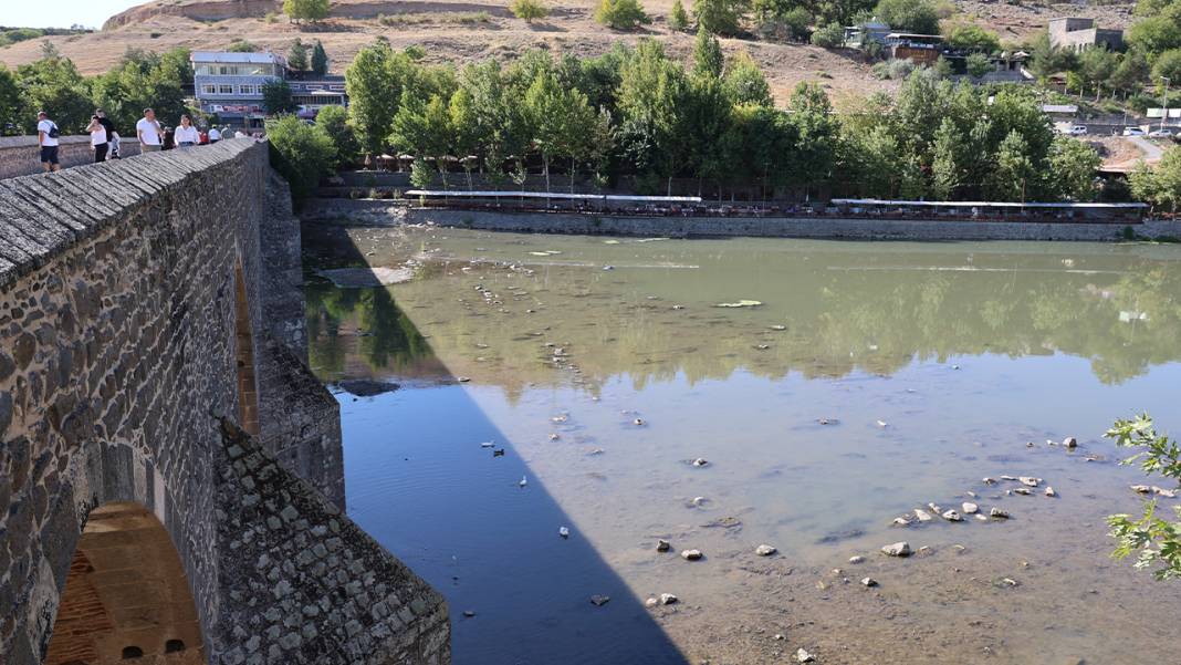 Dicle Nehri’nde balık ölümleri: Bazı türler yok oldu 3