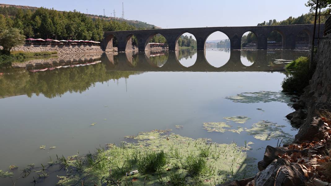 Dicle Nehri’nde balık ölümleri: Bazı türler yok oldu 1