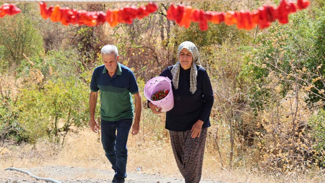 Diyarbakır’ın acısını şekerle birleştirdi: Siparişleri yetiştiremiyor 1