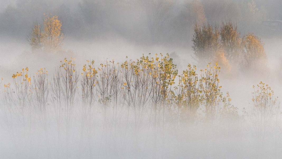 Diyarbakır Hevsel’de Kasım’da büyüleyen manzaralar 1