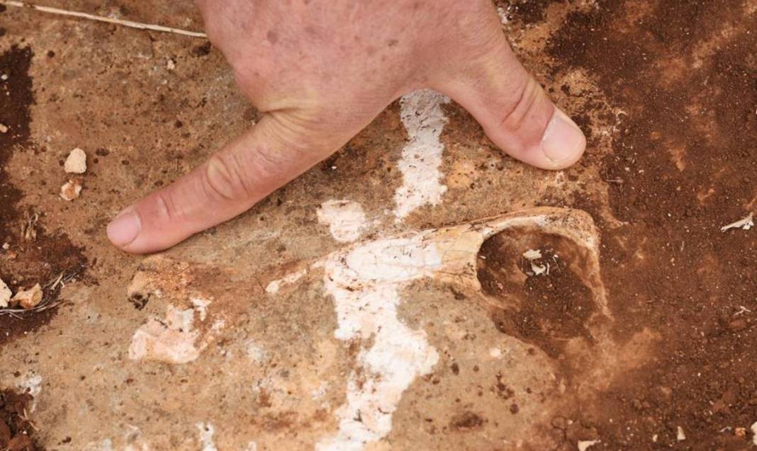 Diyarbakır'da yüz milyonlarca yıllık fosiller bulundu 8