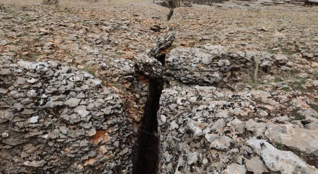 Diyarbakır'da yüz milyonlarca yıllık fosiller bulundu 6