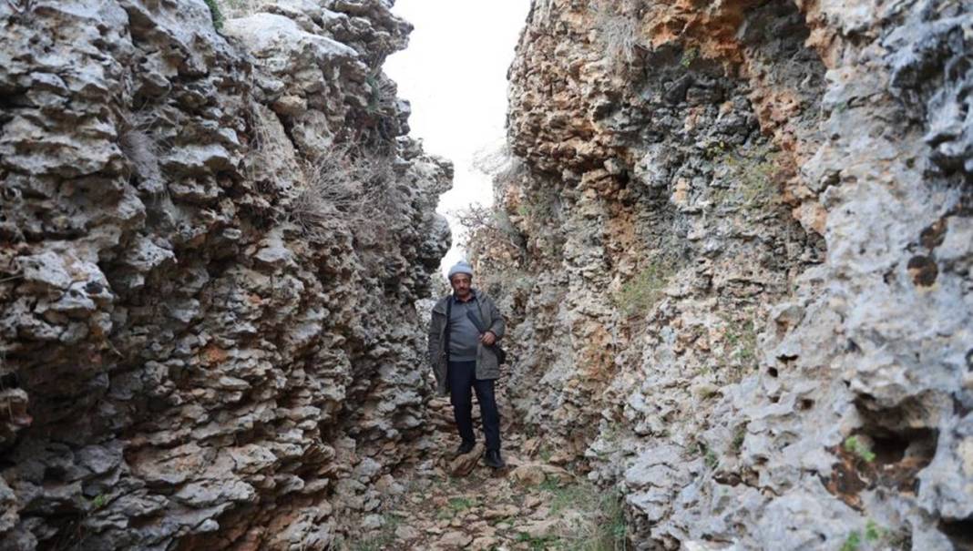 Diyarbakır'da yüz milyonlarca yıllık fosiller bulundu 4