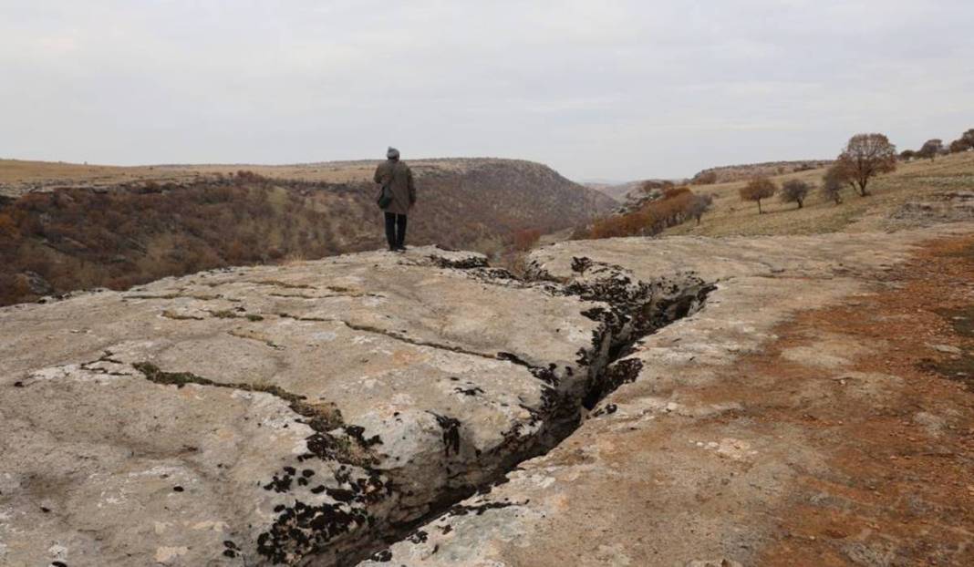 Diyarbakır'da yüz milyonlarca yıllık fosiller bulundu 7