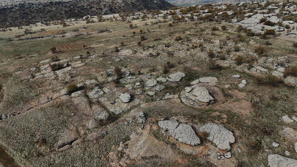 Diyarbakır'da yüz milyonlarca yıllık fosiller bulundu 1