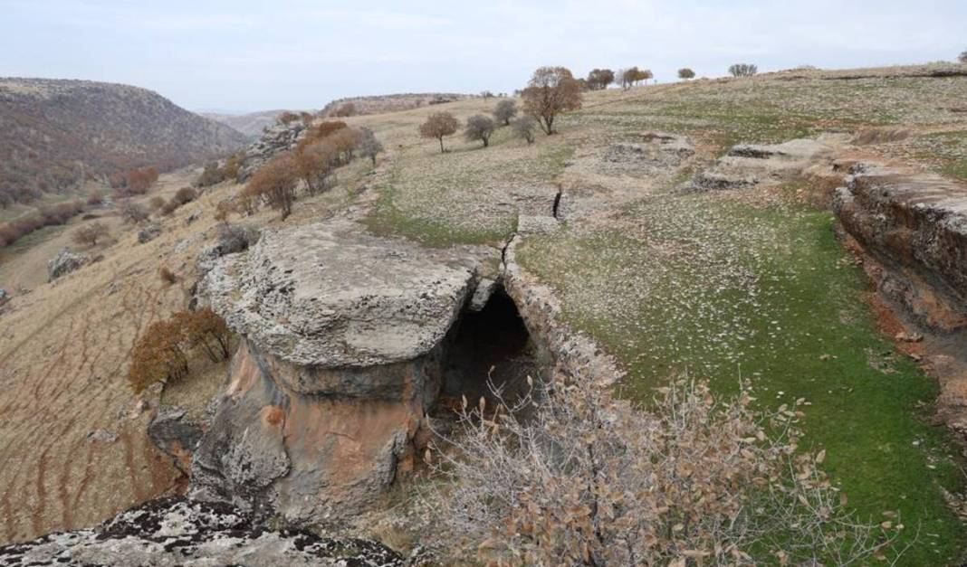 Diyarbakır'da yüz milyonlarca yıllık fosiller bulundu 3