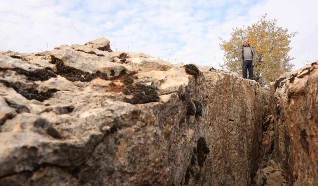 Diyarbakır'da yüz milyonlarca yıllık fosiller bulundu 2