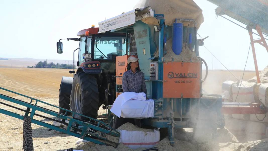Diyarbakır’da 40 derece sıcakta saman mesaisi 1