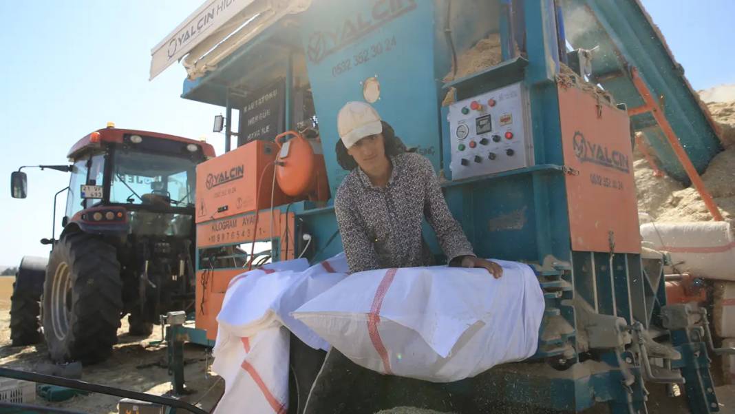 Diyarbakır’da 40 derece sıcakta saman mesaisi 8