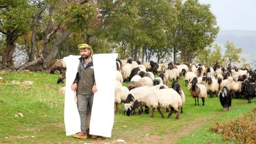 Göçerlerin zorlu kış göçü başladı: Rota Diyarbakır 5