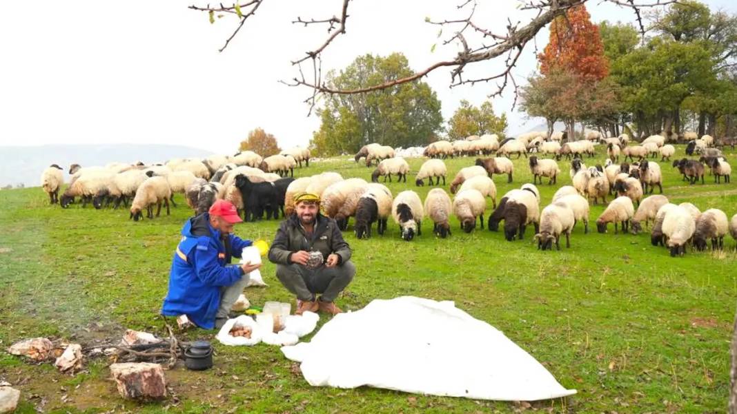 Göçerlerin zorlu kış göçü başladı: Rota Diyarbakır 6