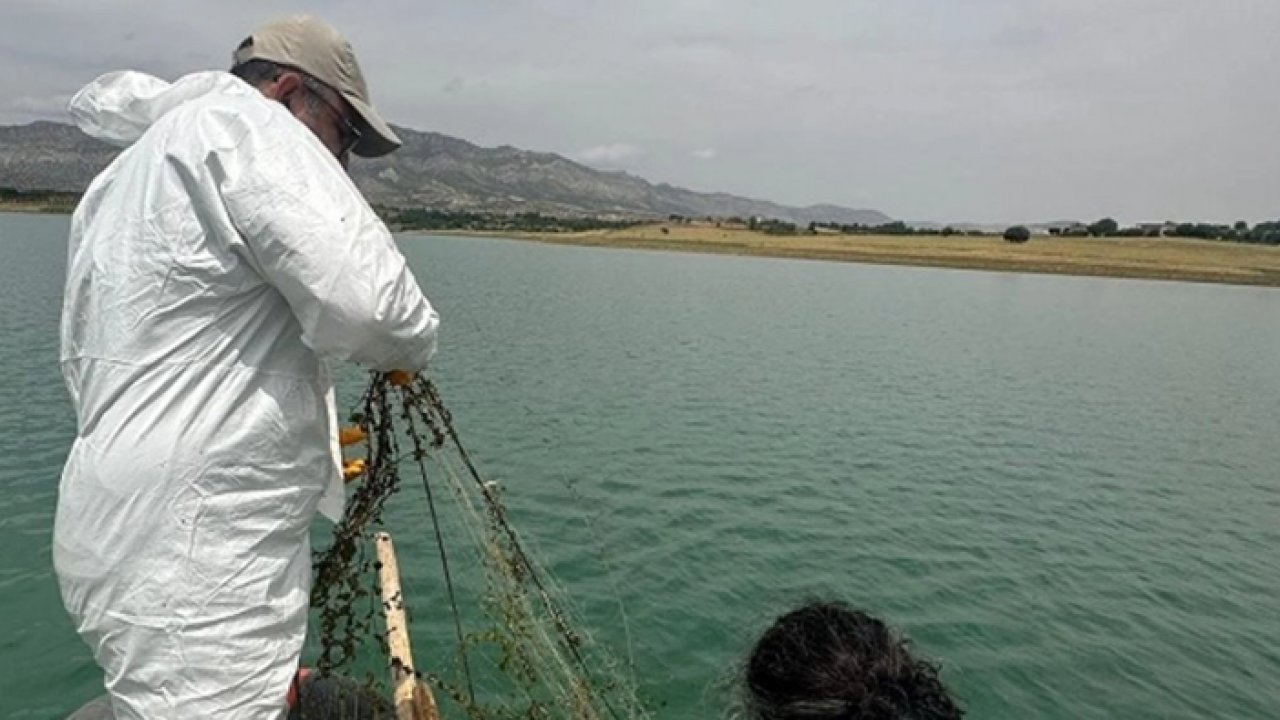 Diyarbakır’da av yasağı balık fiyatlarını vurdu