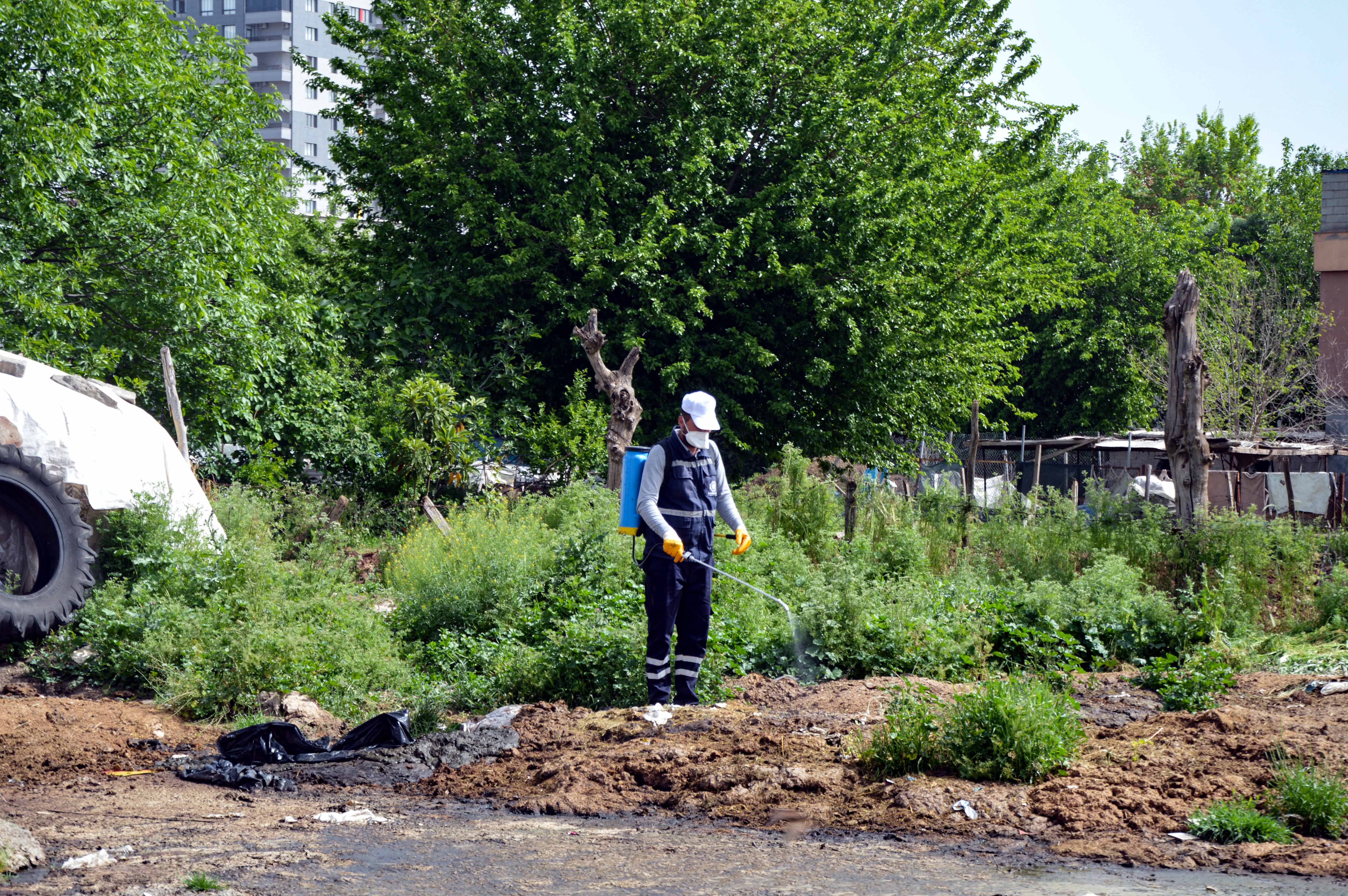 DBB'den 274 personel ve 80 araçla ilaçlama hizmeti