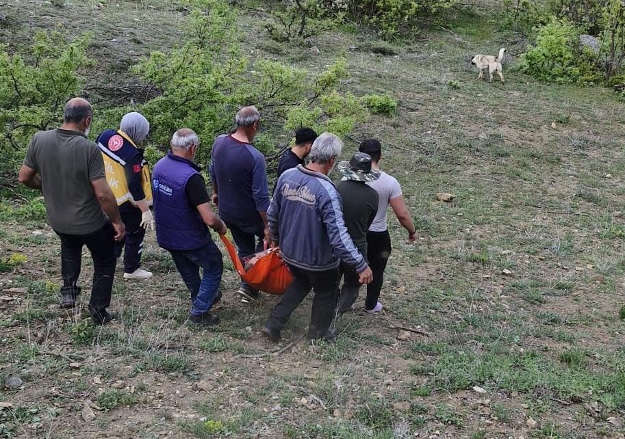 Hayvan otlatırken ayının saldırısına uğradı