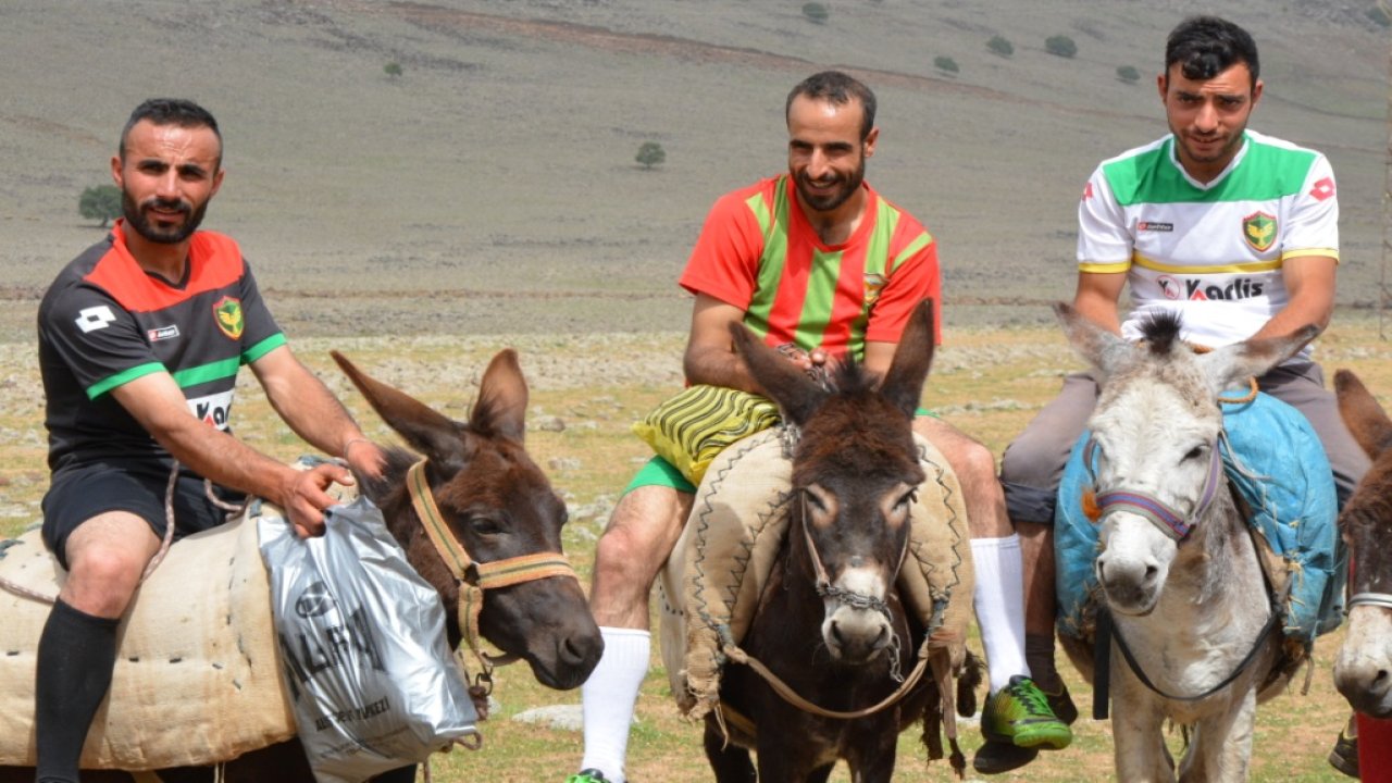 Diyarbakır’da eşek azaldı: İşler kesat!