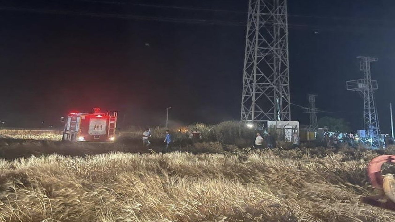 Elektrik telleri koptu: 50 dönümlük buğday kül oldu