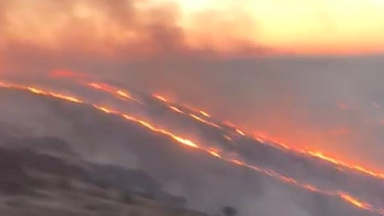 Fıstık bahçeleri yanıyor: Binlerce ağaç alevler içinde