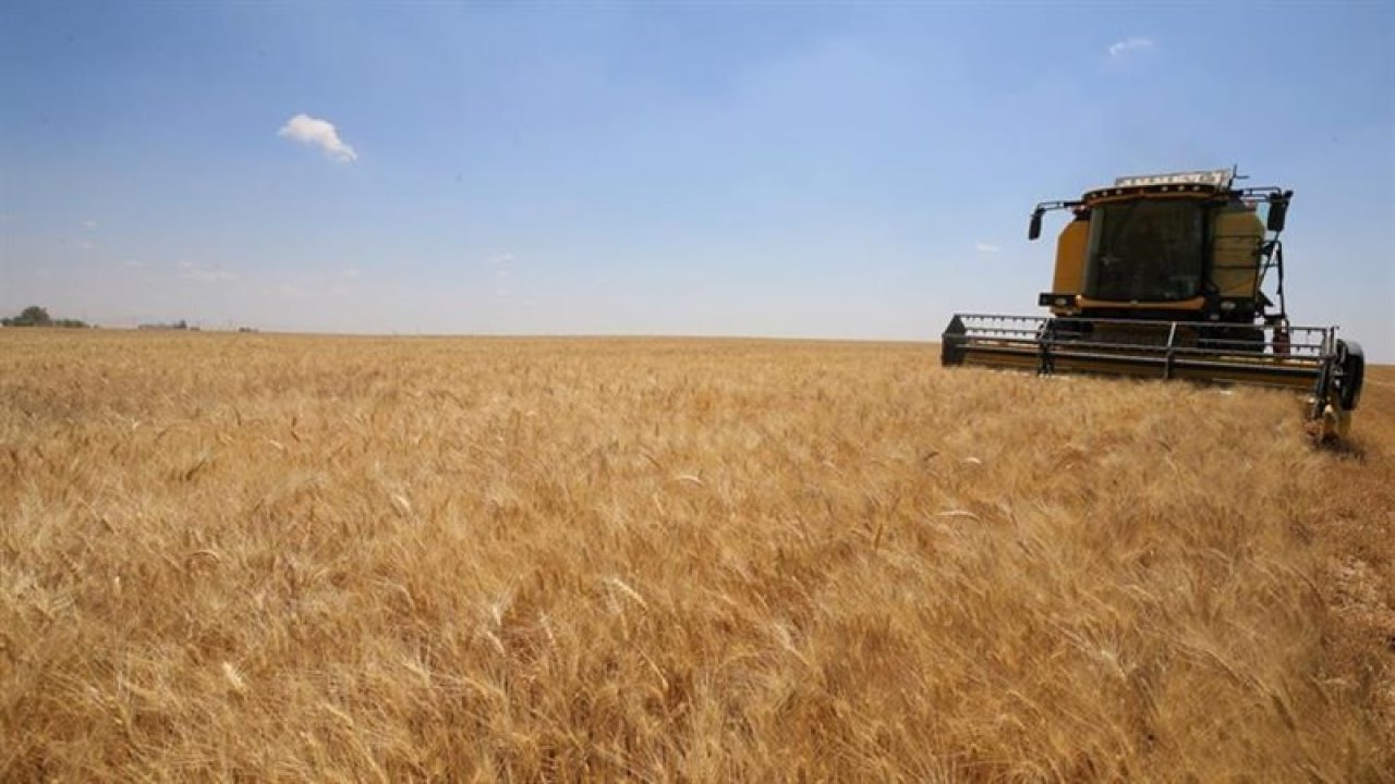 TMO buğday ve arpa alım fiyatına ilk tepki Diyarbakır’dan