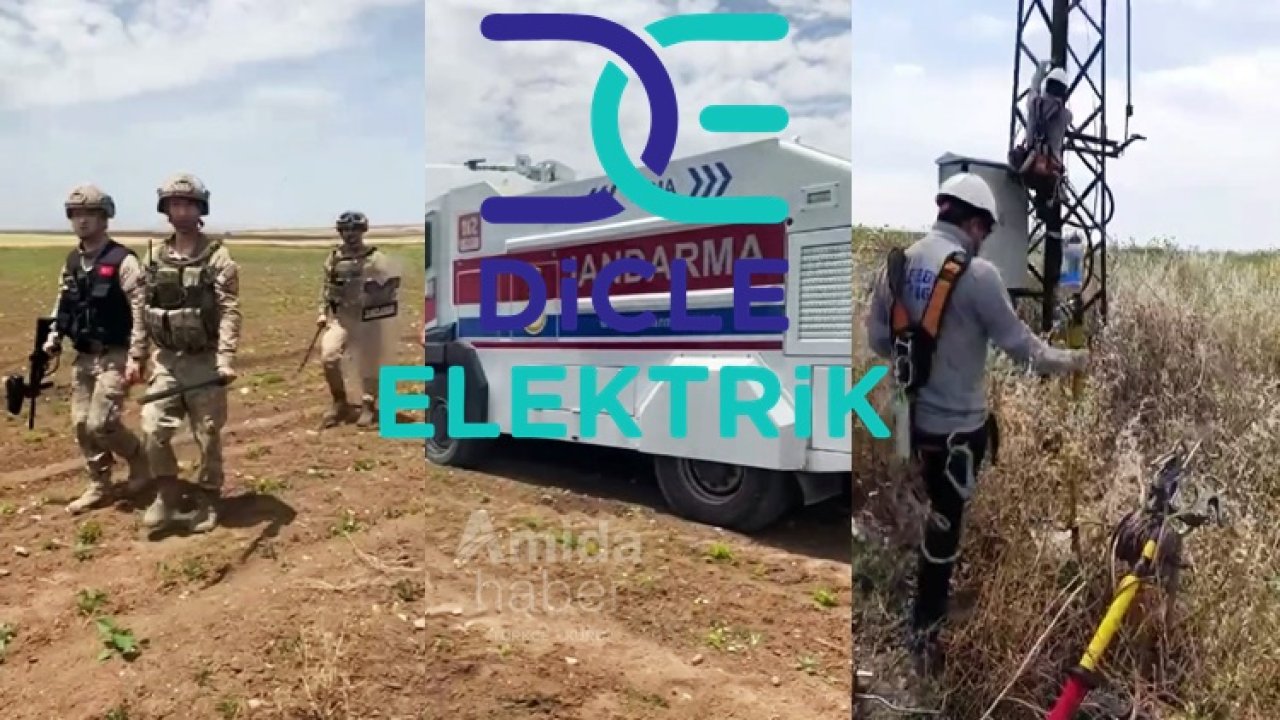 Dicle Elektrik: Kaçak azaldı verimlilik arttı