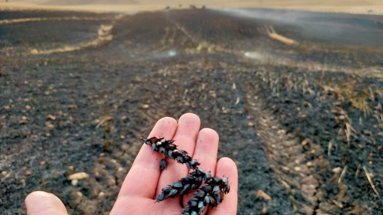 Diyarbakır’da 130 dönümlük ekin kül oldu: Kim bu yangınları çıkaran!