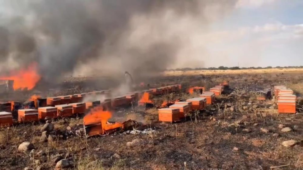 Siverek’te yangın arı kovanlarına sıçradı: Yüzlerce arı telef oldu
