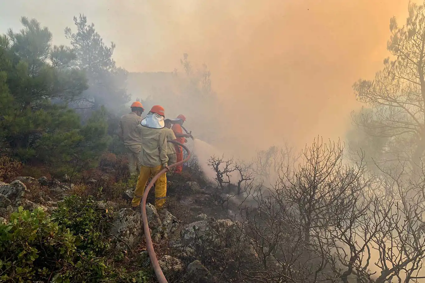 Çanakkale'deki orman yangınında 83 kişi etkilendi