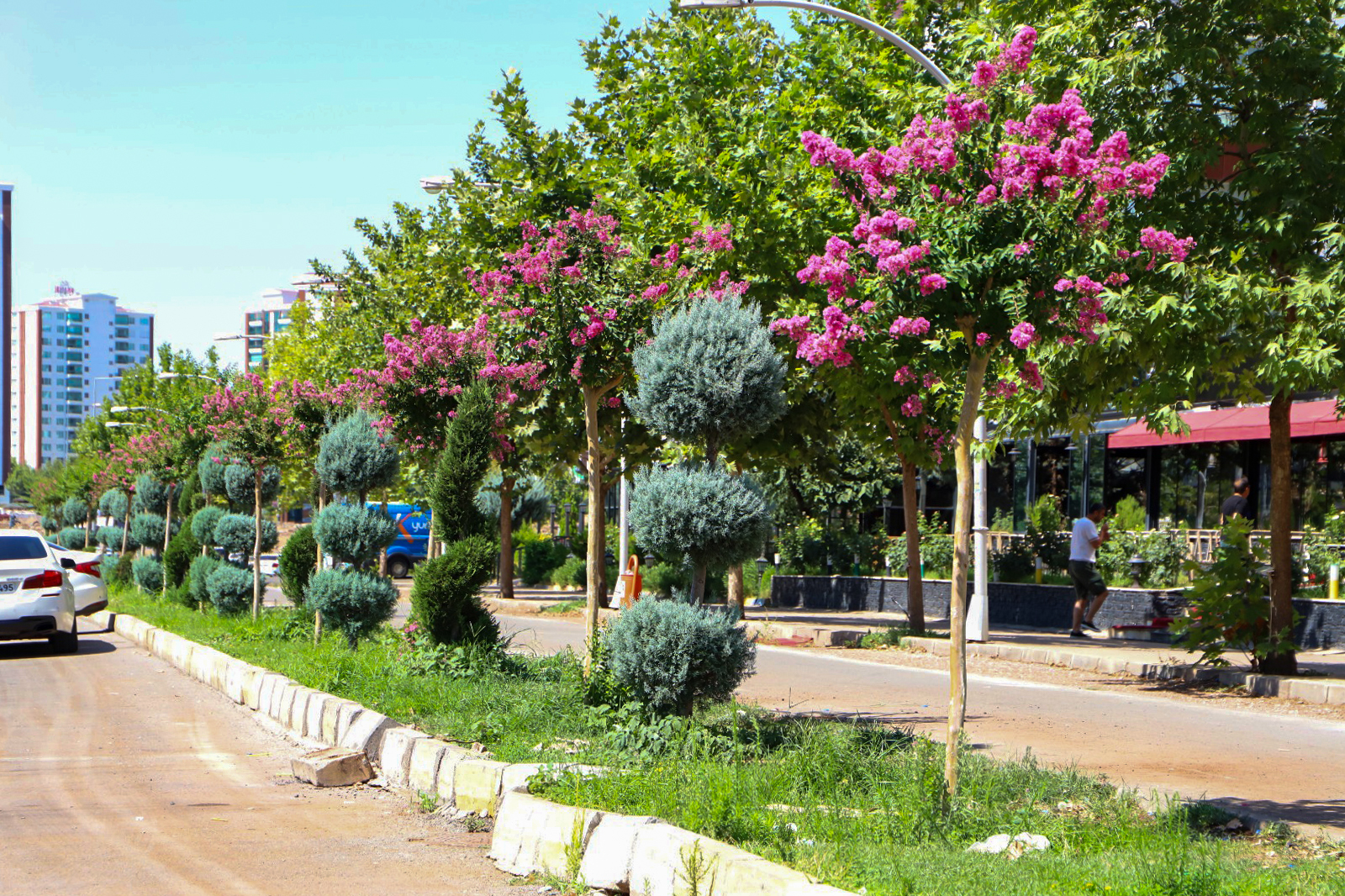 Diyarbakır'da refüj ve kavşaklar renklendi