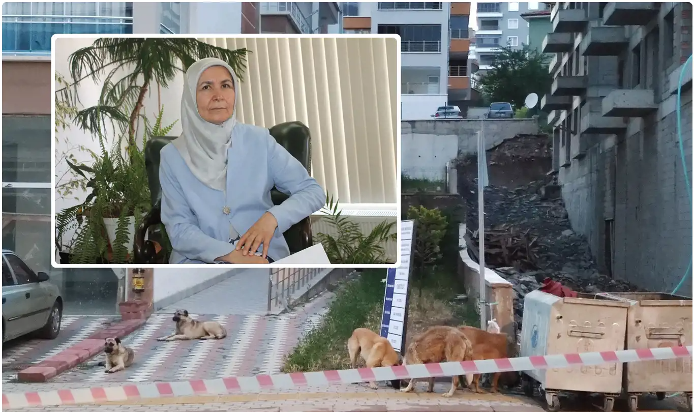 "Başıboş köpek sorununun çözümü 5199 Sayılı Kanun'un değişmesine bağlı"