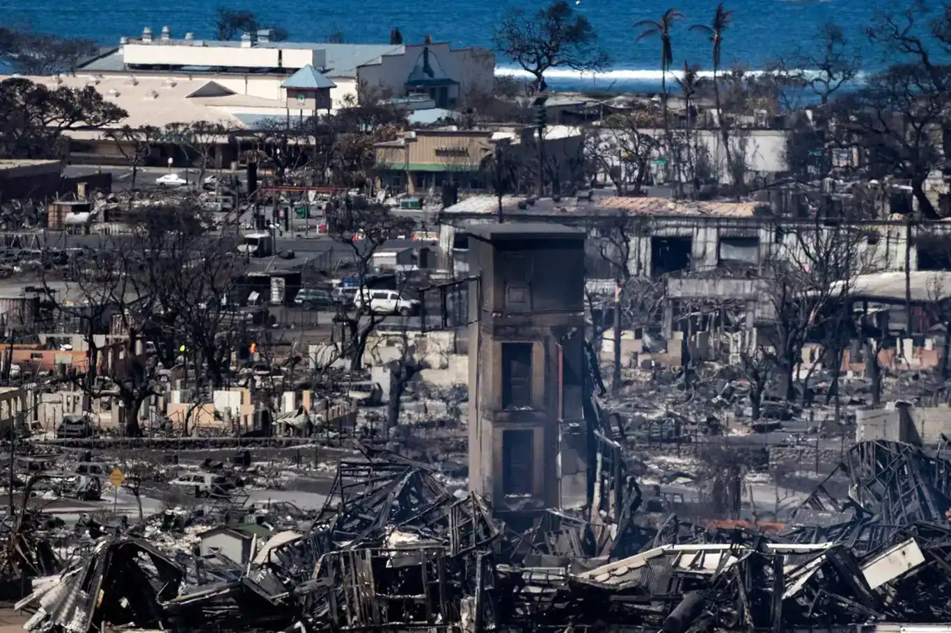 Hawaii'deki yangınlarda 338 kişiden haber alınamıyor