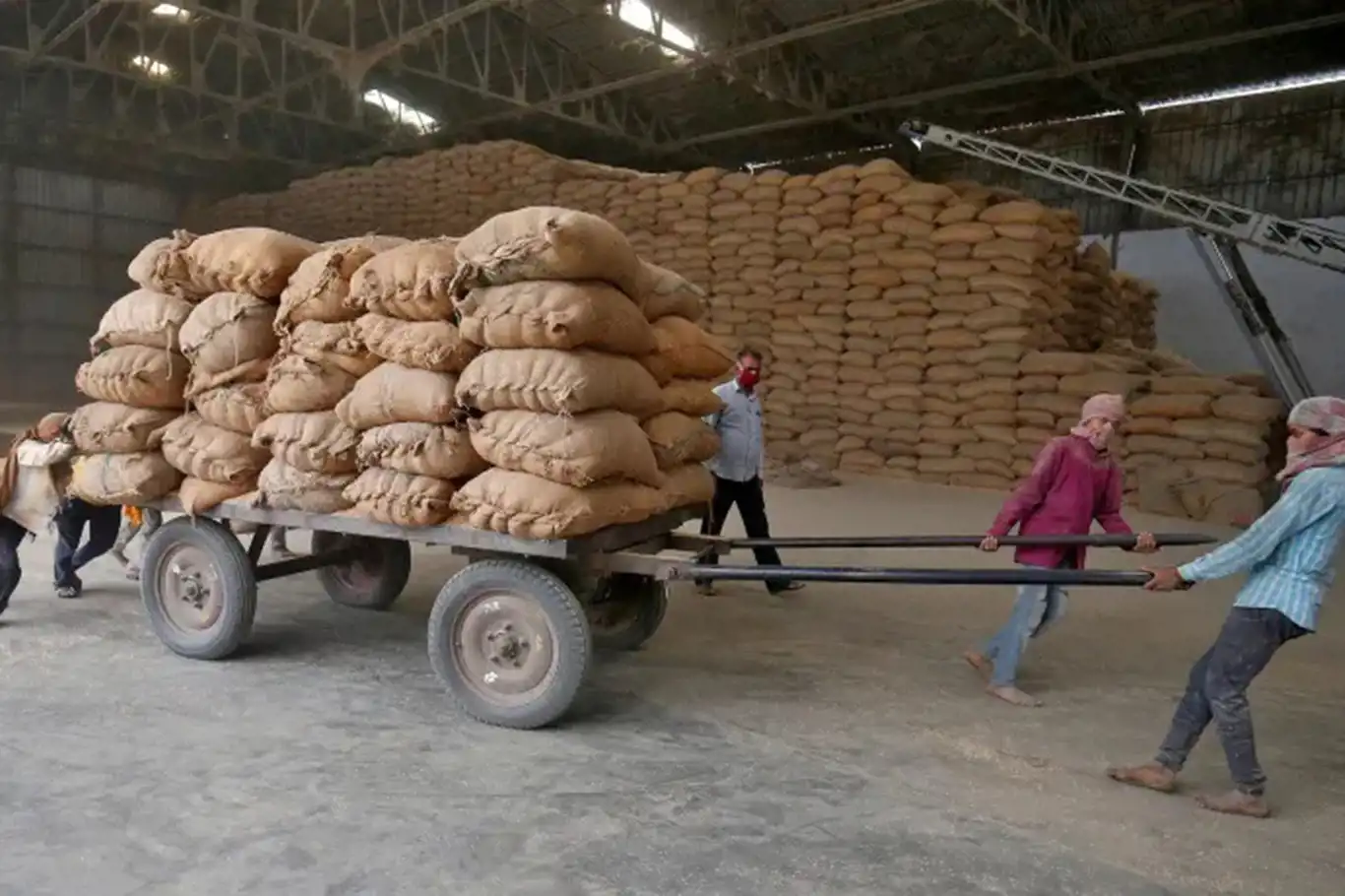 Hindistan'dan küresel tahıl tedariki üzerinde baskı oluşturacak hamle