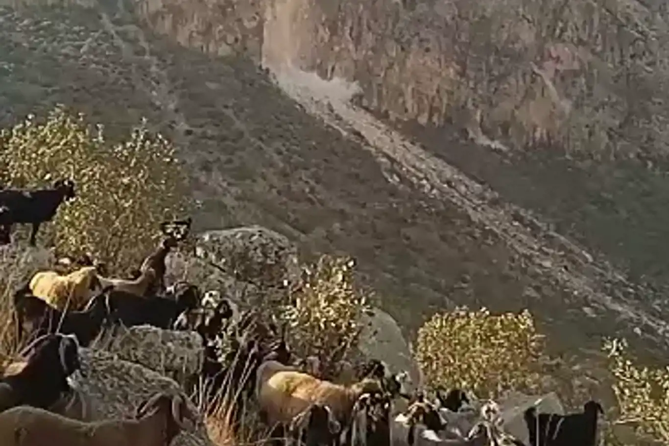 Siirt’teki deprem anı çobanın kamerasına yansıdı