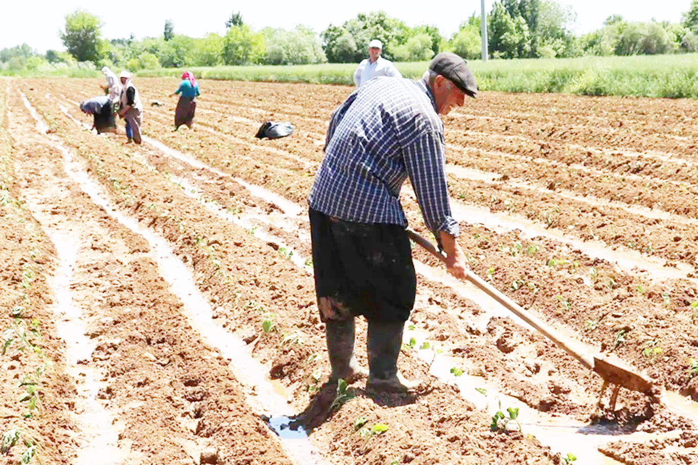 Dicle Huzurparkı’nda çalışmalar başladı